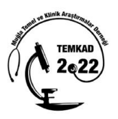 TEMKAD Logo